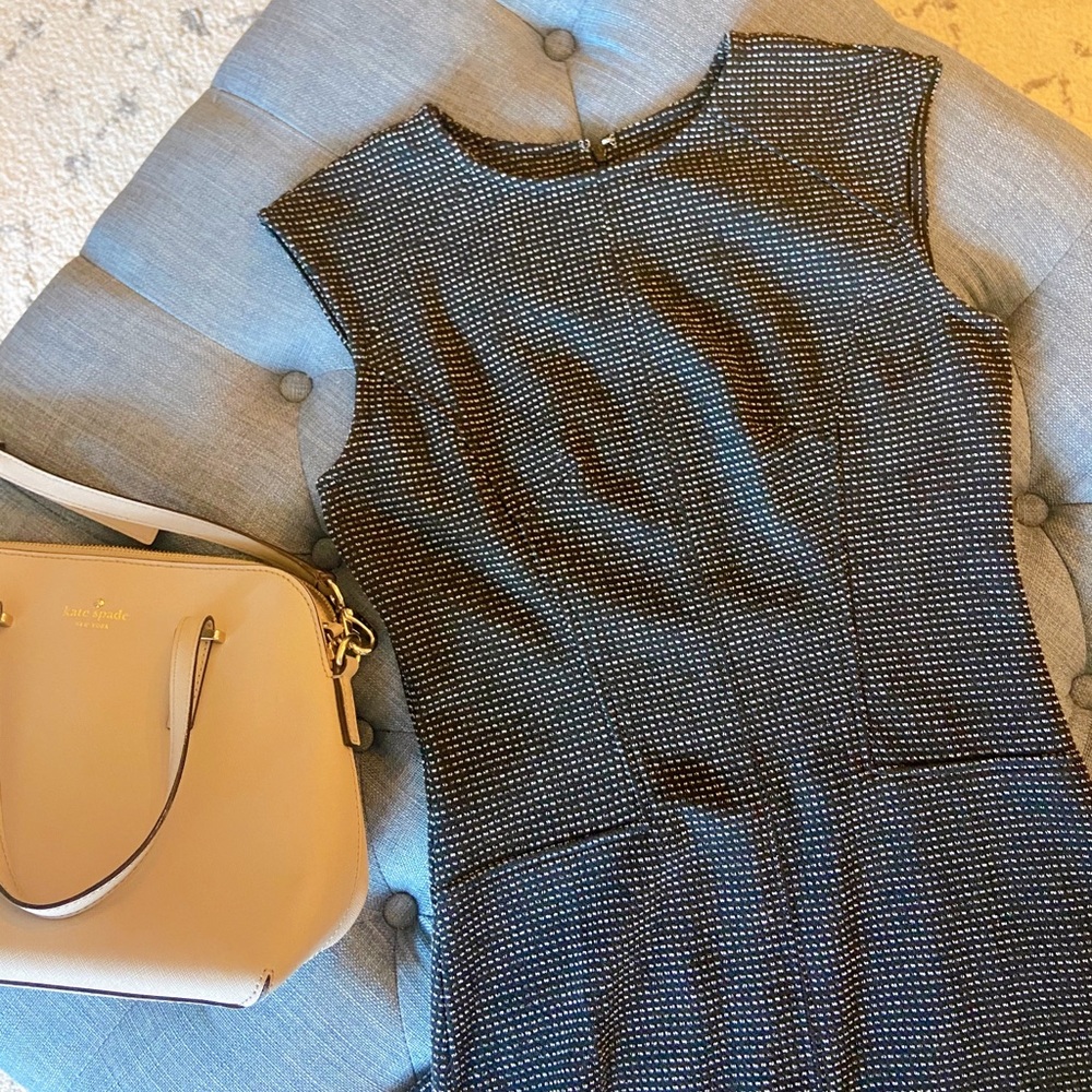 Ann Taylor Sleeveless Sheath Style Dress